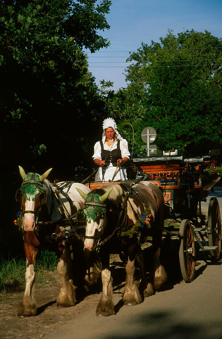 Horse carriage, Prerow, Darss, mecklenburg-Western Pomerania, Germany