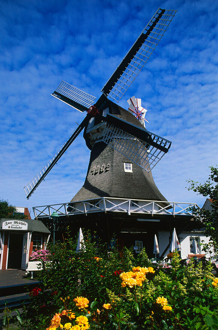 Windmill, Norderney Island, East Frisian Islands, Germany