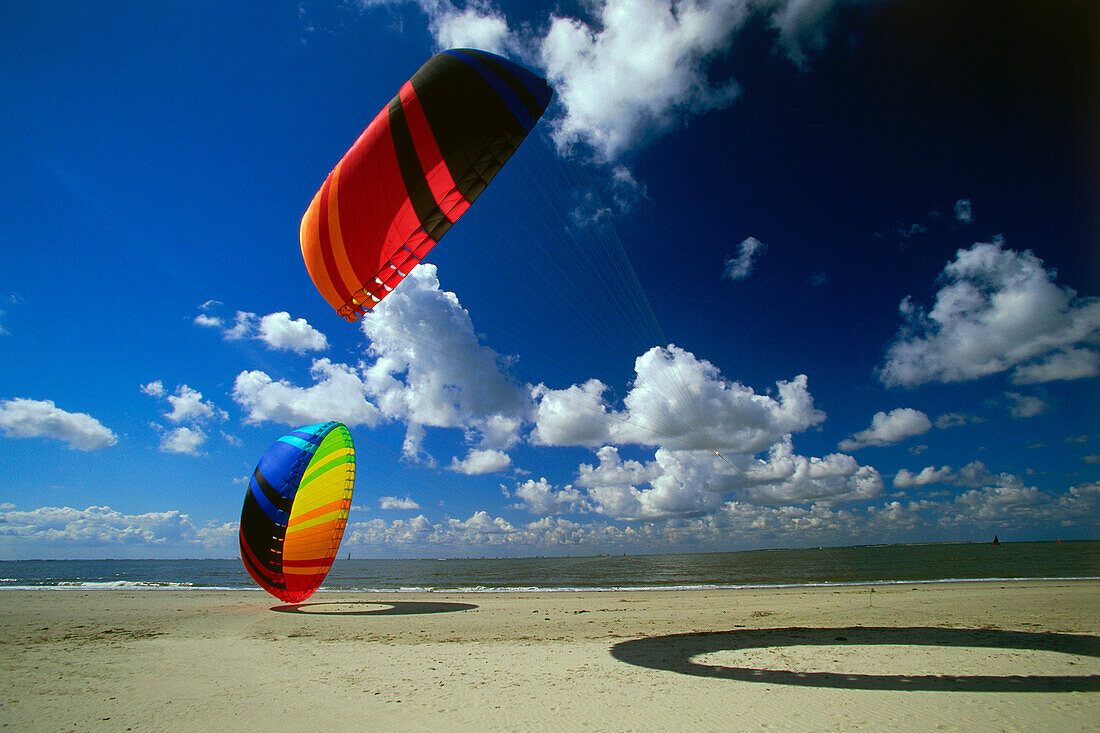 Kite festival, Norderney island, East Frisian Islands, Germany
