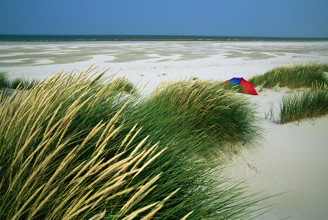 Tent between dunes, Juist island, East Frisian Islands, Lower Saxony, Germany
