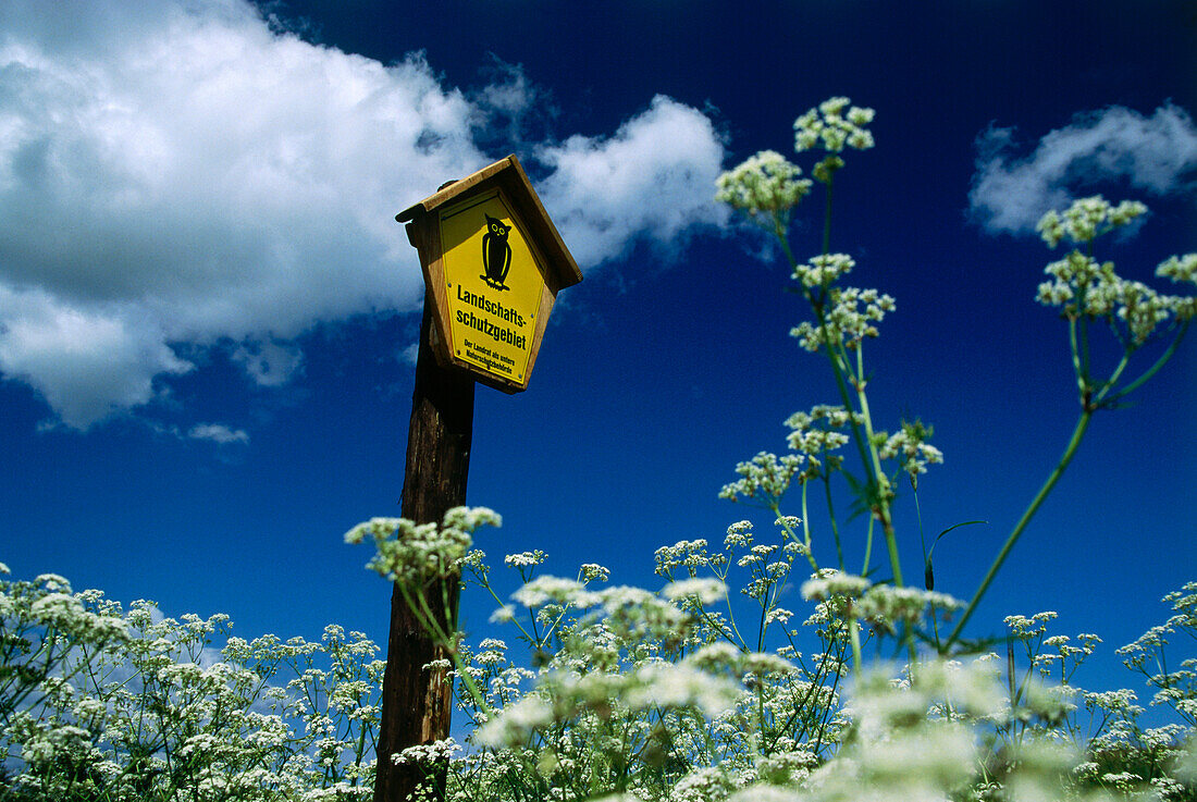 Information sign, Natural Park Usedom, Mecklenburg-Western Pomerania, Germany