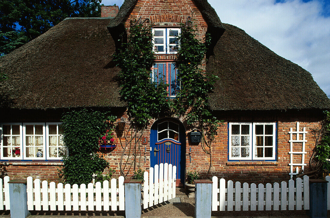 Wyk, Boldixm, Insel Föhr, Schleswig Holstein, Deutschland, Europa