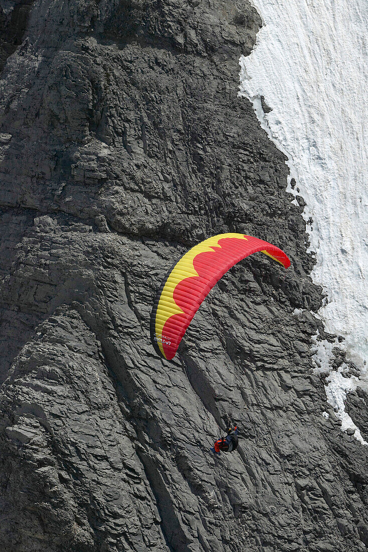 Mann, Paraglider, Winter, Jungfrauspitze, Interlaken, Graubünden, Schweiz