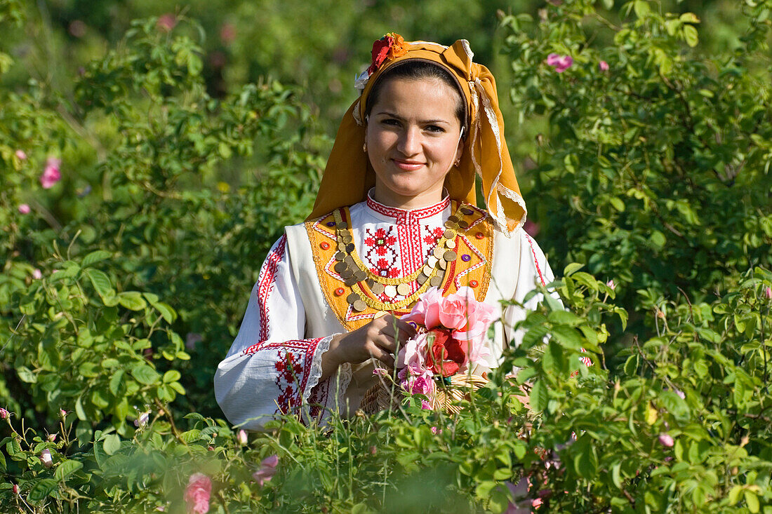 Rosenpflückerin, Rosenfest, Rosenernte, Karlovo, Bulgarien