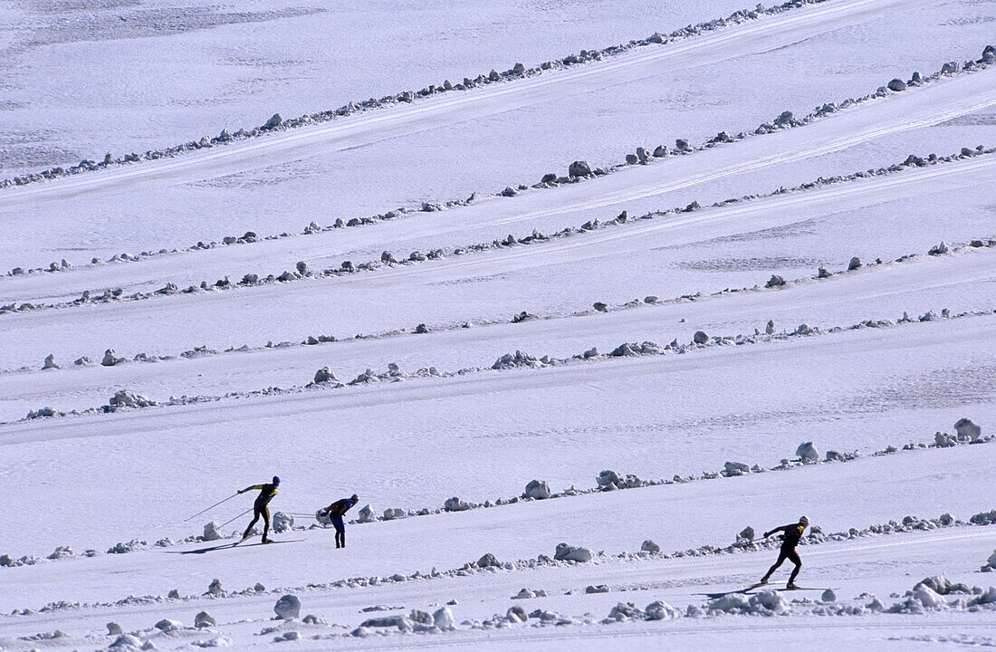 Cross-country skiers on crorss-country ski run, ski resort glacier Hallstaetter Gletscher, Upper Austria, Austria