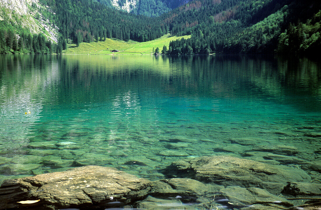 Obersee mit Fischunkelalm, Berchtesgadener Alpen, Oberbayern, Bayern, Deutschland