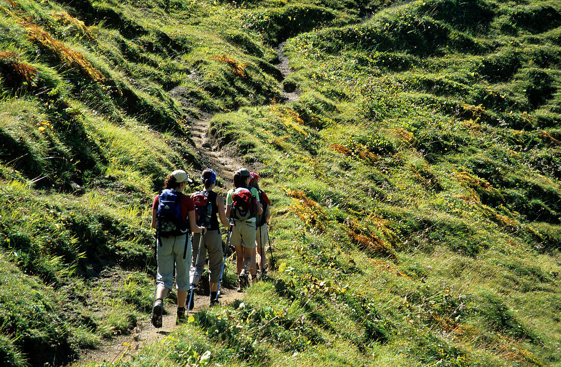 Vier junge Frauen beim Wandern, Himmeleck, Allgäuer Alpen, Schwaben, Deutschland