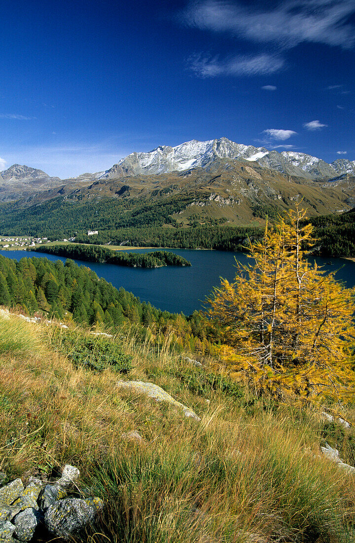 lake Silser See with Piz Corvatsch, Oberengadin, Grisons, Switzerland