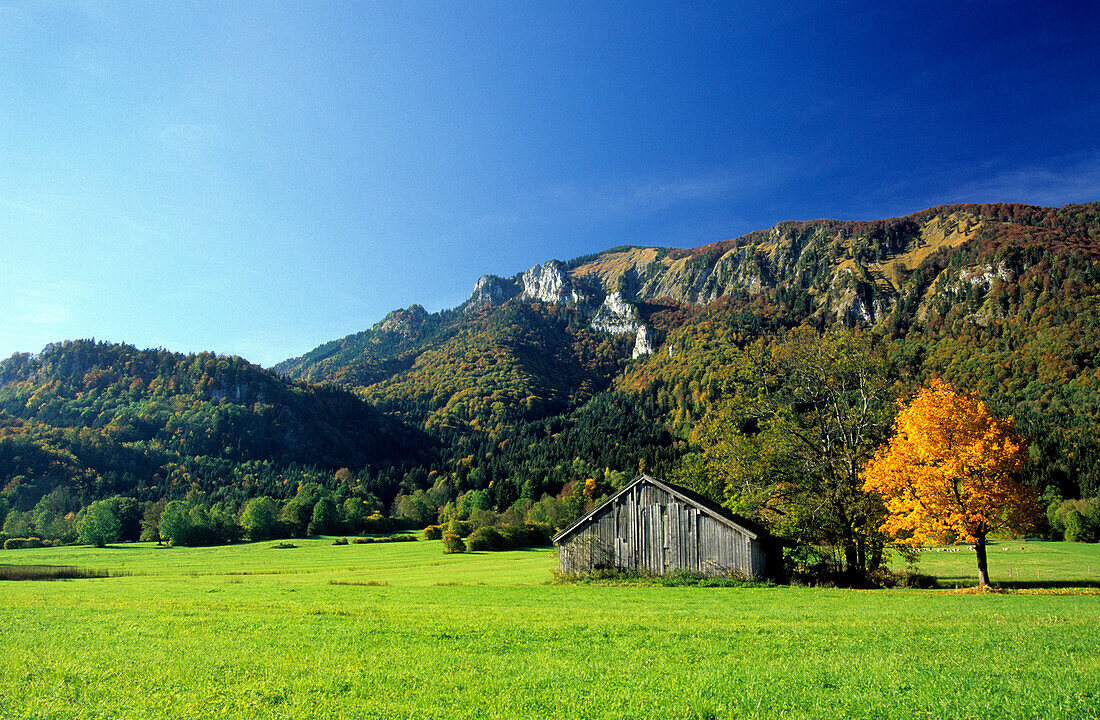 Hochplatte mit Heustadel und Herbstlaub, Chiemgau, Oberbayern, Bayern, Deutschland