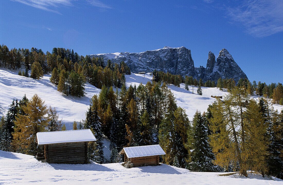 Schlern von der Seiseralm, Dolomiten, Südtirol, Italien