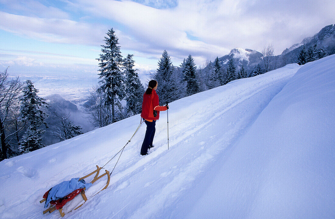sledging at hut Gsohlalpe, view to valley of Rhein, Hohenems, Bregenzer Wald, Vorarlberg, Austria