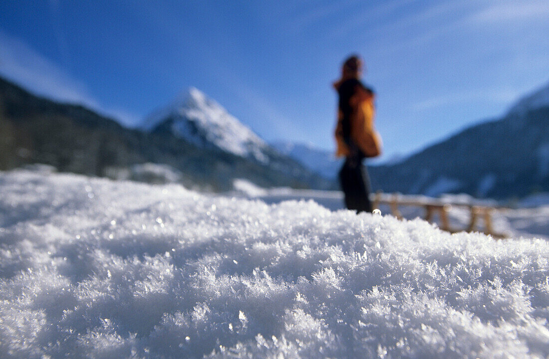 Rime ice crystals, sledging at Ahornlift, Au-Schoppernau, Bregenzer Wald, Vorarlberg, Austria