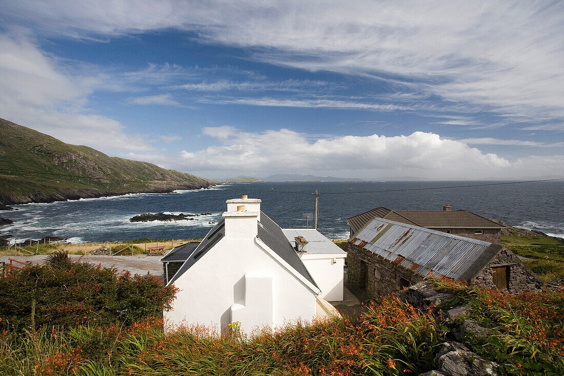 Coast near Waterville, Ring of Kerry, Ireland, Europe