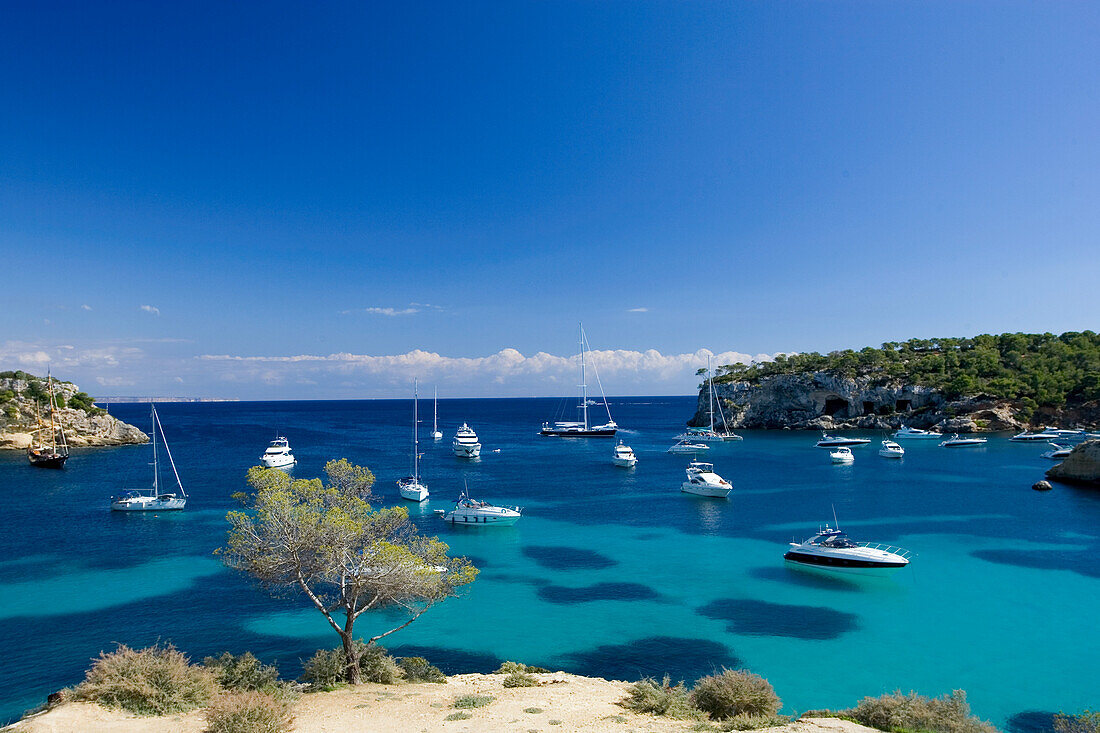 Portals Vells, Segelschiffe, Yachten, Mallorca, Spanien