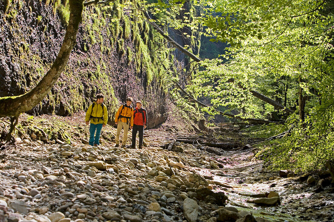 Three men canyon hiking through gorge Ofenloch, Canton St. Gallen, Switzerland