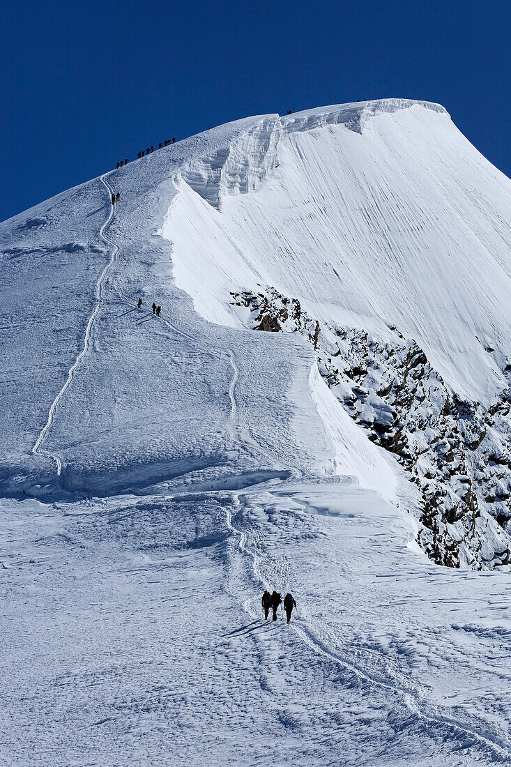 Gruppe Bergsteiger auf dem Weissmies, Kanton Wallis, Schweiz