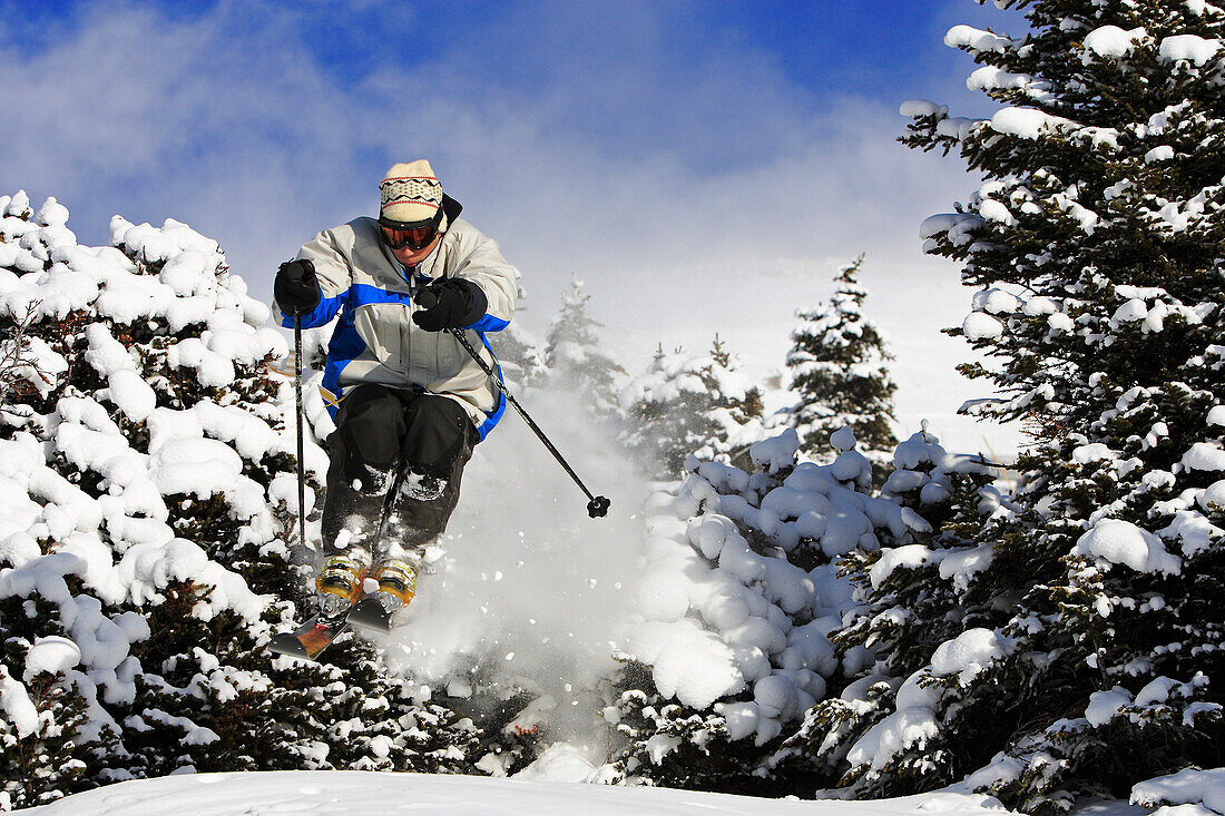 Female skier in deep snow at South Face, Lake Louise, Alberta, Canada, MR