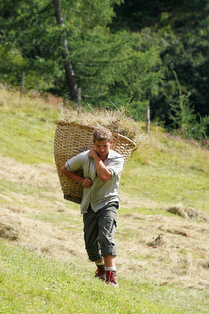 Young farmer harvesting hay, Hohe Tauern, Salzburger Land, Austria