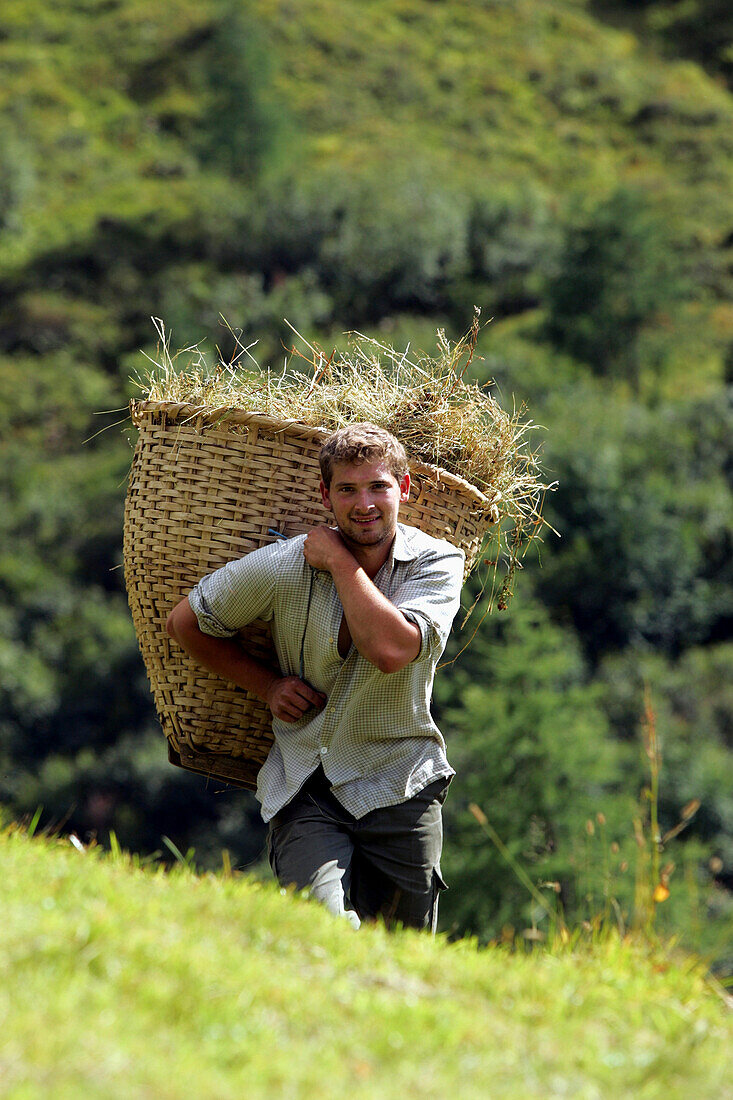 Young farmer harvesting hay, Hohe Tauern, Salzburger Land, Austria