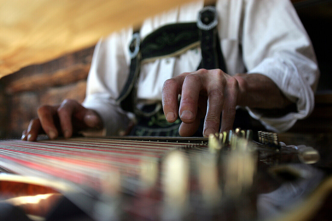 Man playing the zither