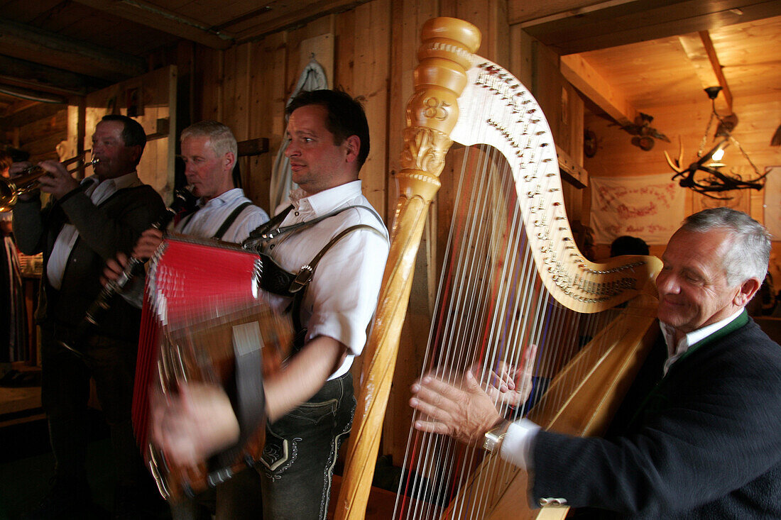 Mature man plays the Harp with  his Folkmusic Band in the Lounge of the  Viehausalm, Nationalpark Hohe Tauern, Salzburger Land, Austria
