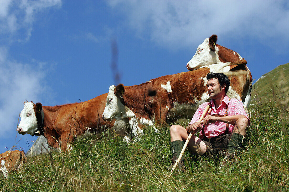 Shepherd with cows, Hohe Tauern, Salzburger Land, Austria