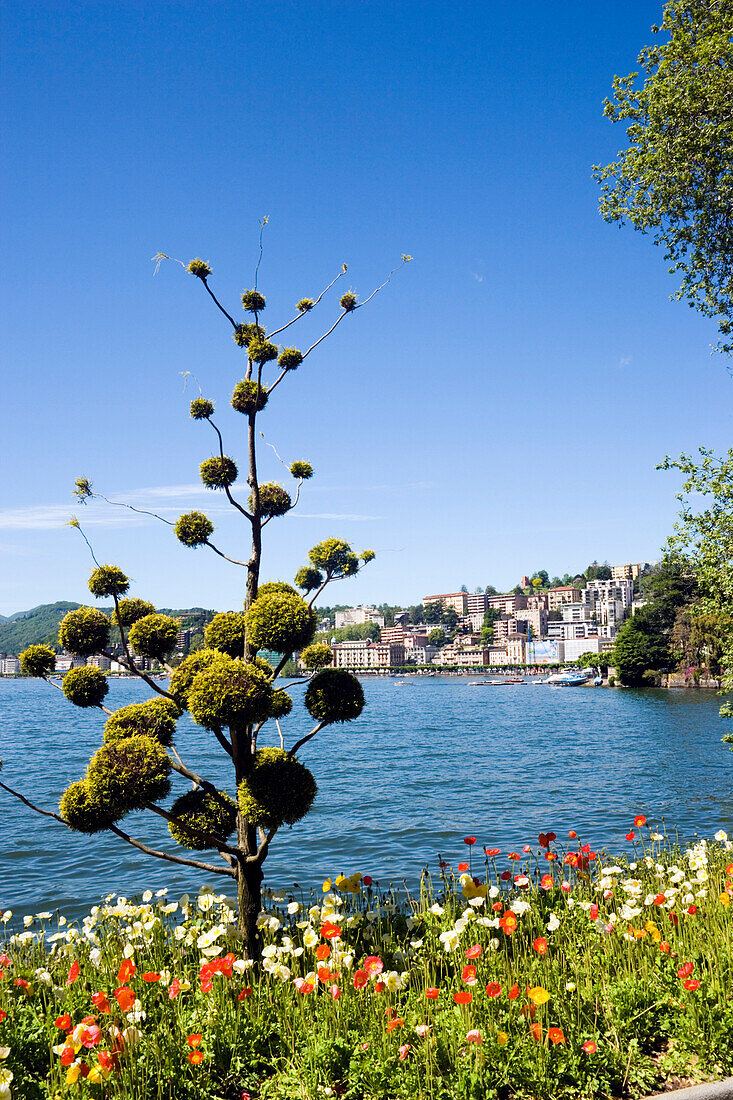 View from Parco Civico over Lake Lugano, Lugano, Ticino, Switzerland