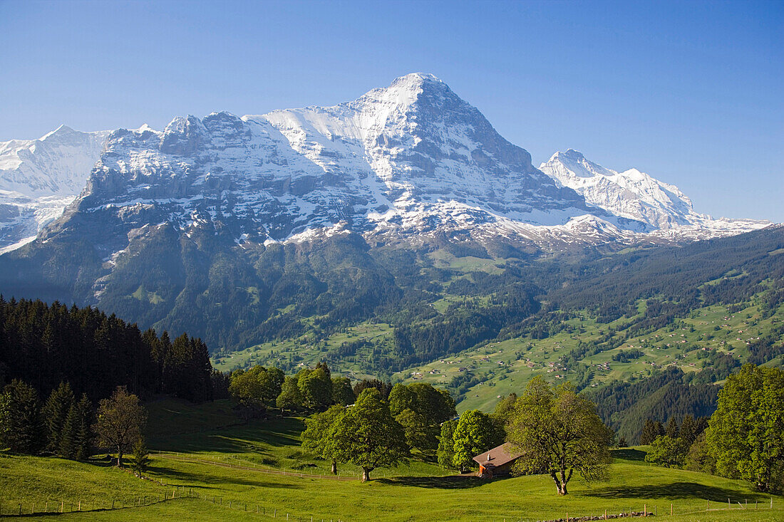 Eiger Nordwand, Grindelwald, Berner Oberland, Kanton Bern, Schweiz