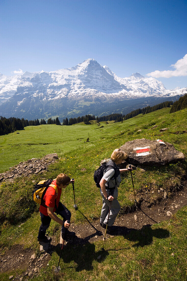 Two people hiking uphill at Bussalp (1800 m), view to Eiger North Face (3970 m), Grindelwald, Bernese Oberland (highlands), Canton of Bern, Switzerland