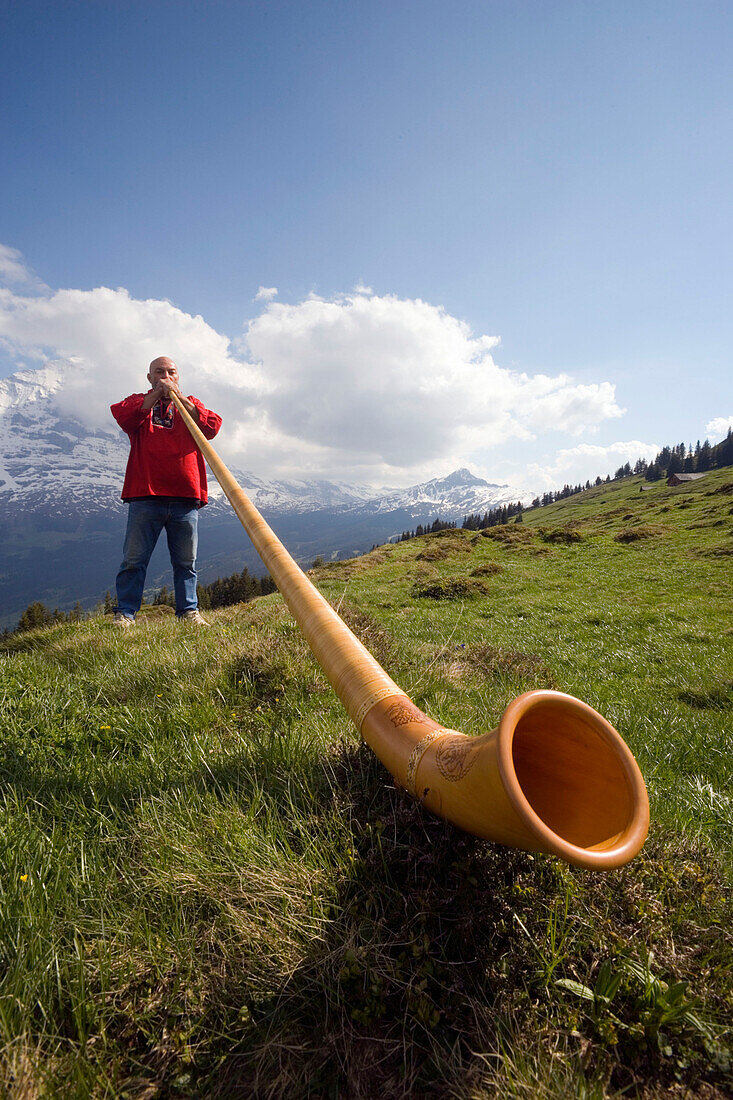 Man playing a alphorn at Bussalp (1800 m), Grindelwald, Bernese Oberland (highlands), Canton of Bern, Switzerland