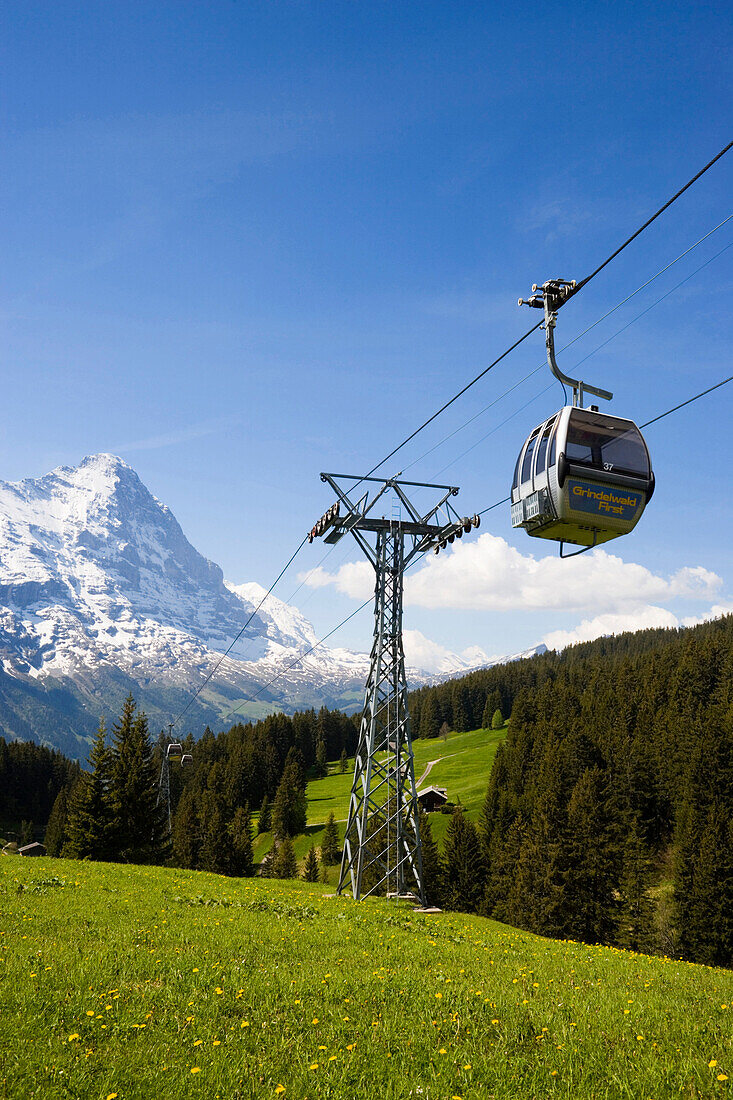 Cabin of the overhead cable car Firstbahn, Eiger (3970 m) in background, Grindelwald, Bernese Oberland (highlands), Canton of Bern, Switzerland