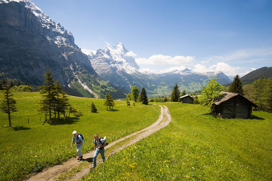 Ein älteres Paar auf eine Wanderung zu Grosse Scheidegg, Eiger 3970 m und Schreckhorn 4078 m im Hintergrund, Grindelwald, Berner Oberland, Kanton Bern, Schweiz