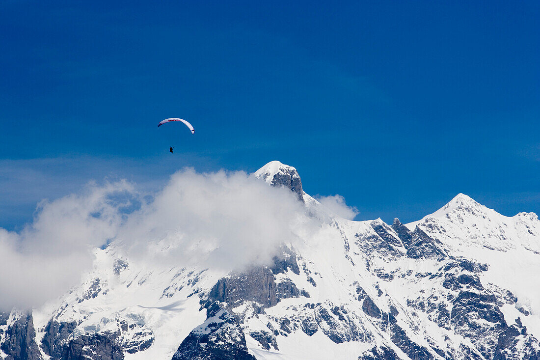 Ein Mann beim Gleitschirmfliegen, Jungfrau-Aletsch-Bietschhorn, Jungfrau Region, Grindelwald, Berner Oberland , Kanton Bern, Schweiz