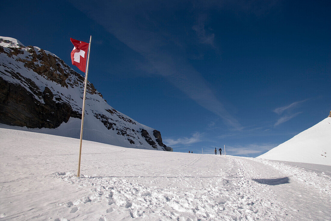 Jungfraufirn glacier, Swiss flag, Grindelwald, Bernese Oberland (highlands), Canton of Bern, Switzerland