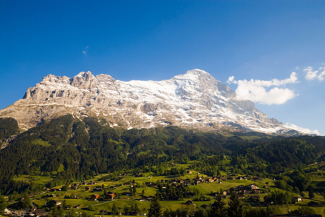 Blick über Grindelwald auf Kleine Scheidegg und Eiger (3970 m), Grindelwald, Berner Oberland, Kanton Bern, Schweiz