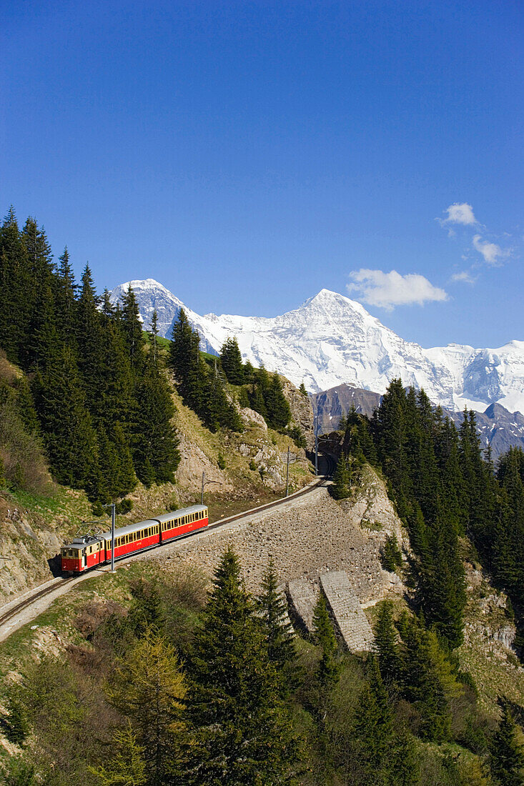 Schynige Platte Railway, Eiger (3970 m), Mönch (4107 m) and Jungfrau (4158 m) in background, Schynige Platte (1967 m), Interlaken, Bernese Oberland (highlands), Canton of Bern, Switzerland