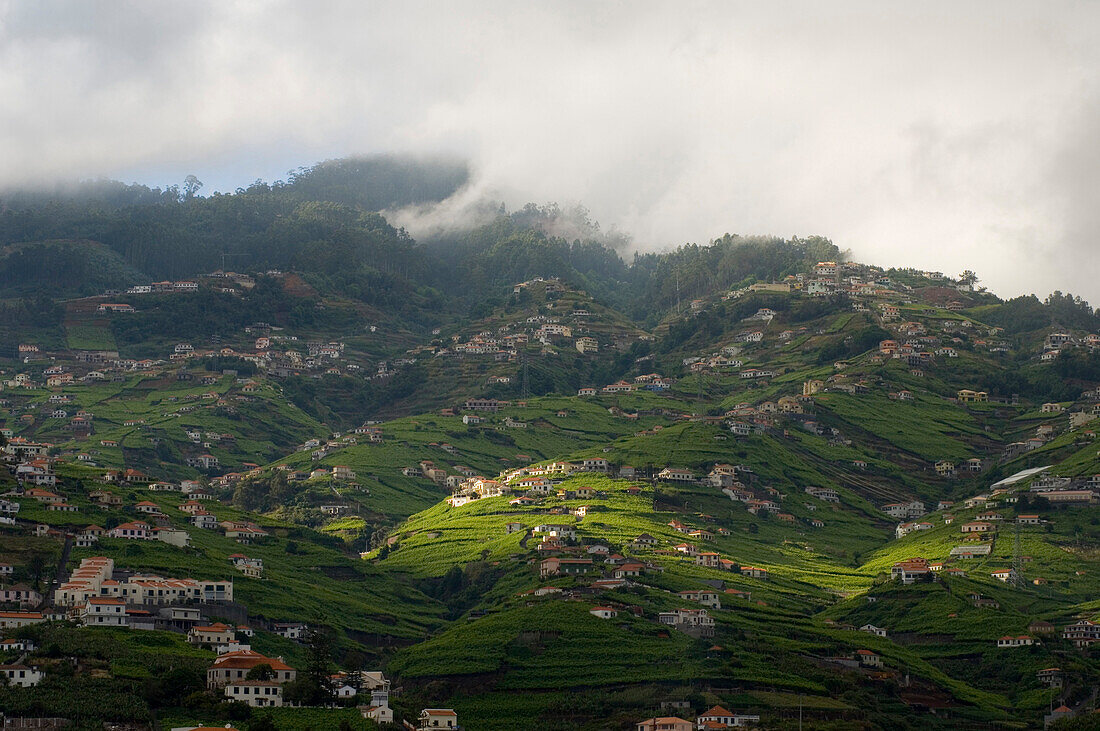 Häuser am grünen Berghang, Camara de Lobos, Madeira, Portugal