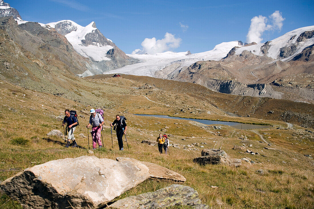 Group of hikers on the way to the Alpine hut Fluhalp, snowy Alps in background, Zermatt, Valais, Switzerland