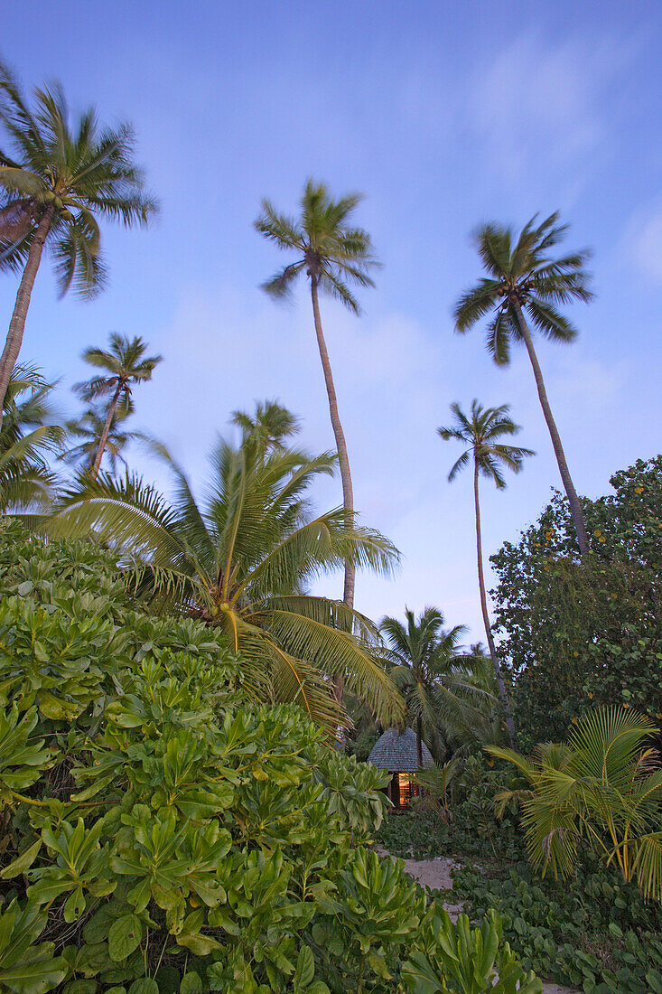 Fale, traditionelle Hütten, Fafa, Tonga, Südsee