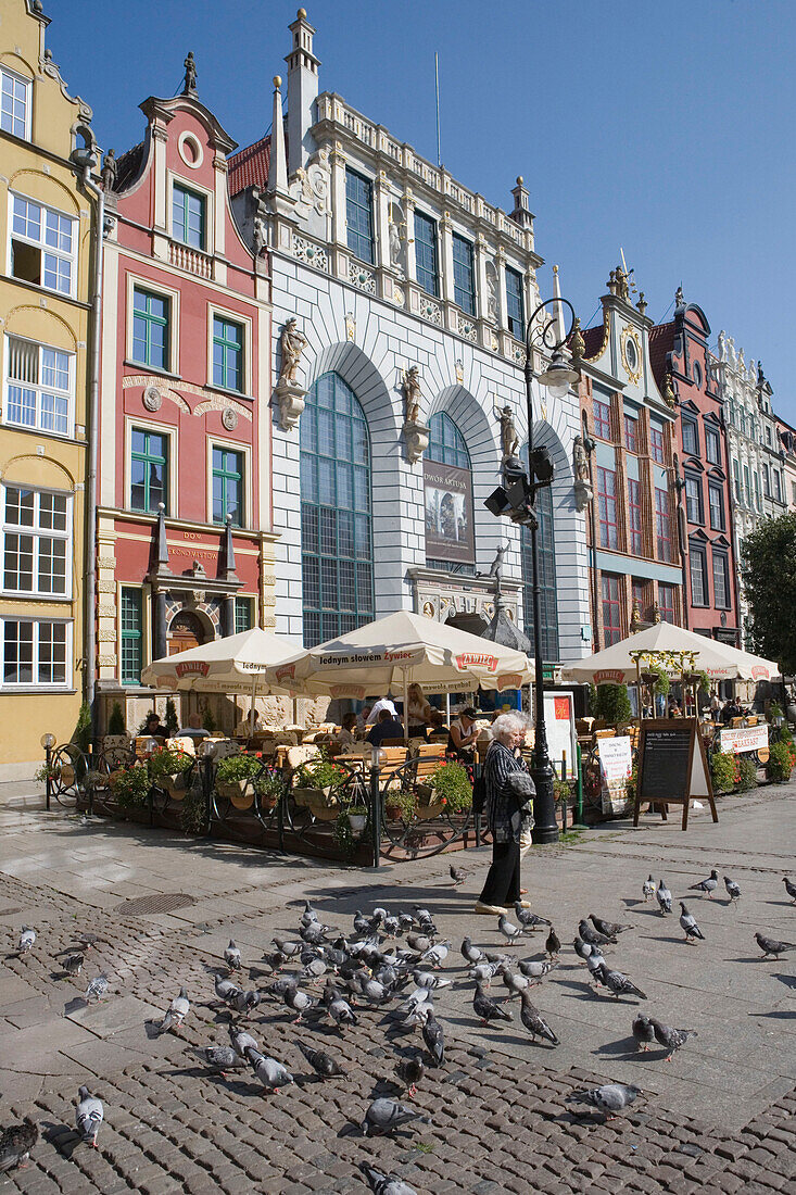 Pigeons and Old Town House Fassades, Artus Court Building, Long Street Market, Gdansk, Poland