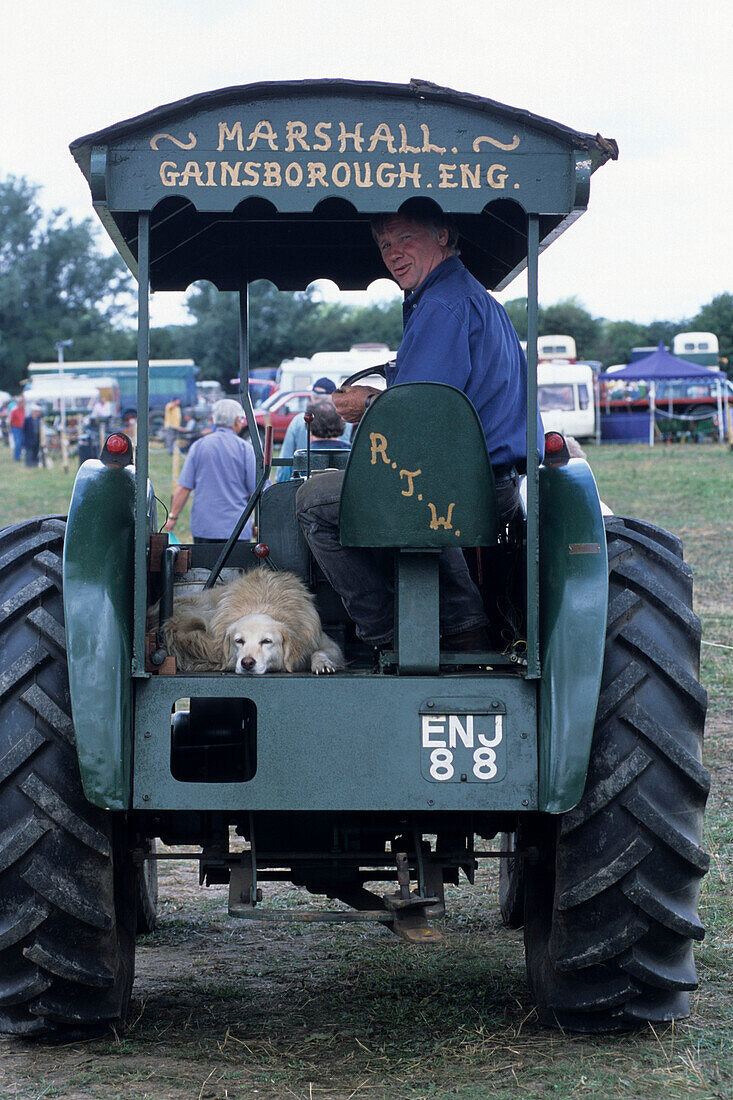 Mann und Hund auf Traktor, Northiam, East Sussex, Südengland, England, Großbritannien