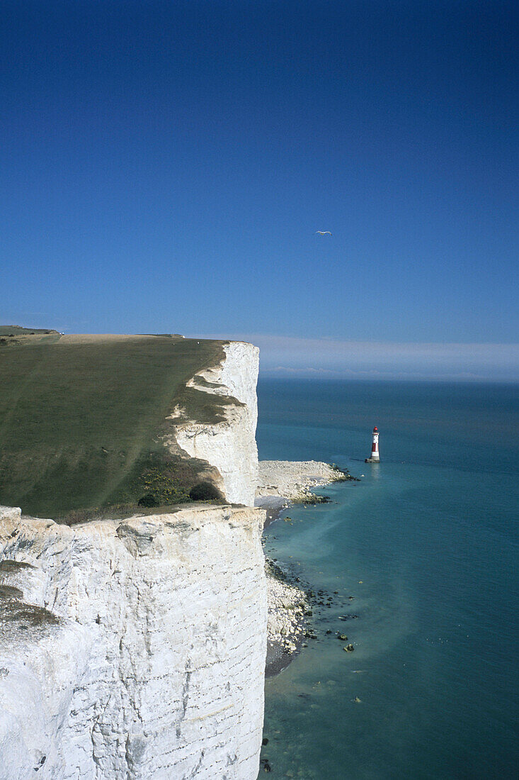 Die Kalkklippen von Beachy Head, nahe Eastbourne, East Sussex, Südengland, England, Großbritannien, Europa