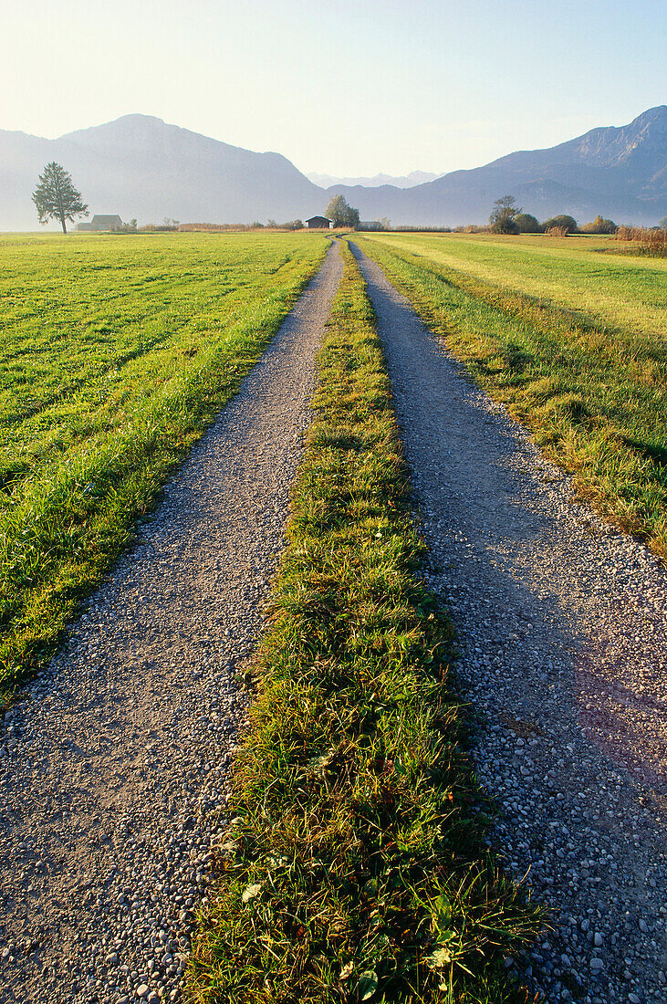 View along dirty road, alpine upland, Upper Bavaria, Bavaria, Germany