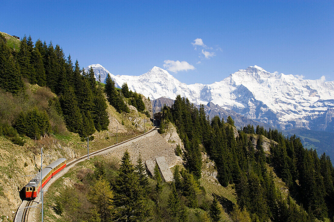 Schynige Platte Railway, Eiger (3970 m), Mönch (4107 m) and Jungfrau (4158 m) in background, Schynige Platte (1967 m), Interlaken, Bernese Oberland (highlands), Canton of Bern, Switzerland (Part of Jungfrau Aletsch Bietschhorn UNESCO World Heritage Site)