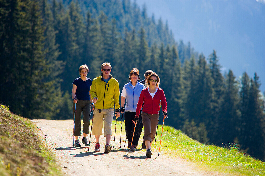 Group of people nordic walking at Bussalp (1800 m), Grindelwald, Bernese Oberland (highlands), Canton of Bern, Switzerland