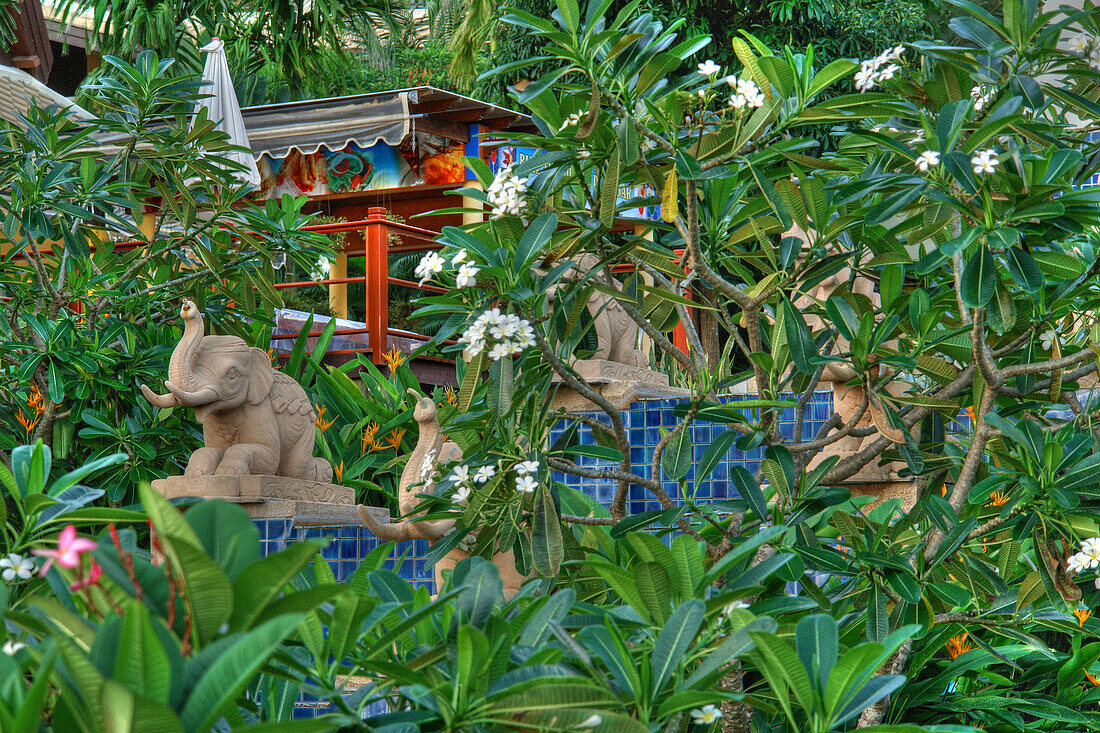 Tropical garden at Phuket, Thailand, Asien