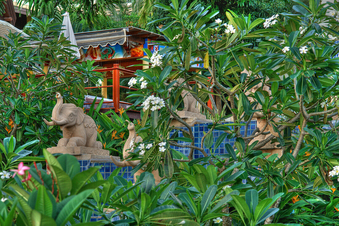 Tropischer Garten auf Phuket, Thailand, Asien