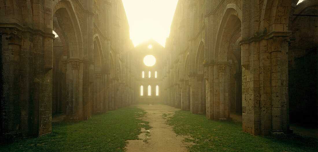 Im Inneren der Kathedrale ohne Dach bei Sonnenaufgang, San Galgano, südlich von Siena, Toskana, Italien