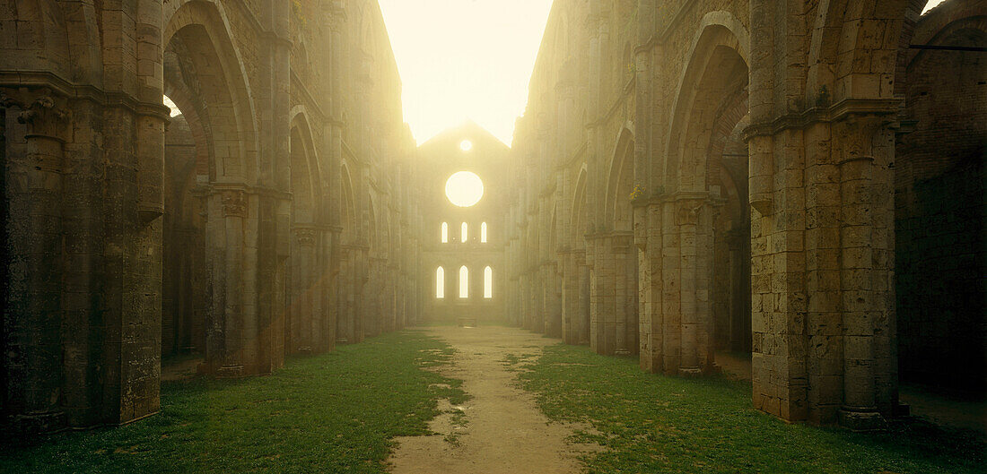 Inside the roofless Cathedral at sunrise, San Galgano, south of Siena, Tuscany, Italy