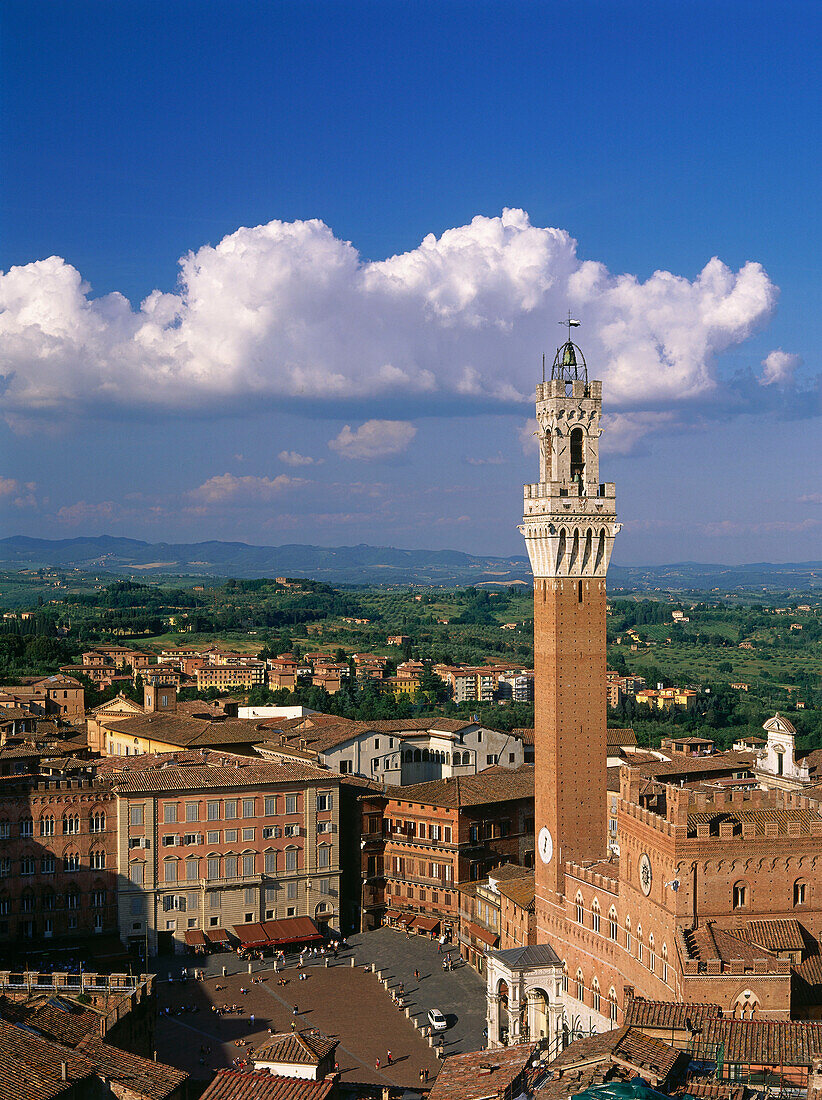 Piazza del Campo, Torre del Mangia, Siena, Toskana, Italien